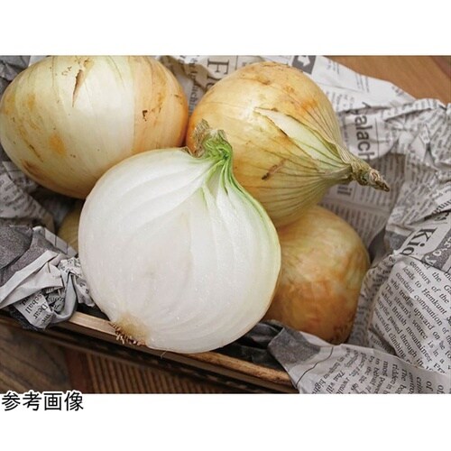 高精度デジタル氷温計 氷温サーモ TP−