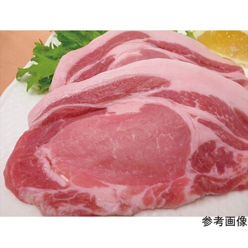 高精度デジタル氷温計 氷温サーモ TP−