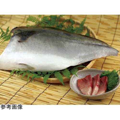 高精度デジタル氷温計 氷温サーモ TP−