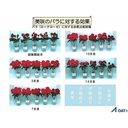 切り花長持ち液 美咲プロ 生花店用 10