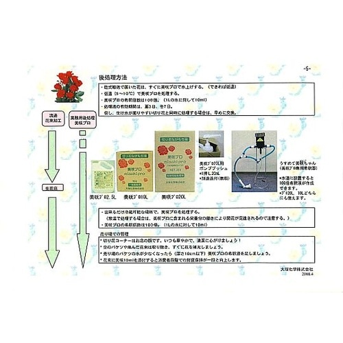 切り花長持ち液 美咲プロ 生花店用 10