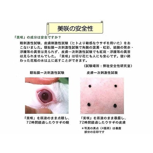 切り花長持ち液 美咲プロ 生花店用 美咲