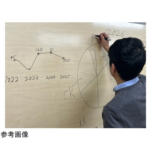 書き消しができる木 ナチュラルマーカーボ