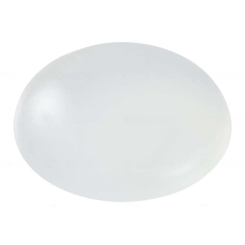 キュオム ウェットプラス 本 80g 1