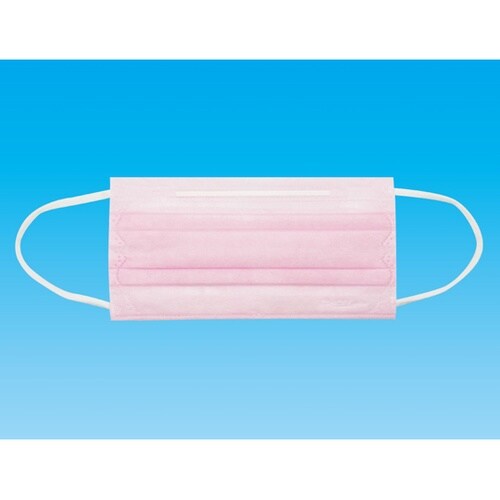 業務用2層マスク 100枚入 フリーサイ