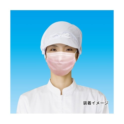 業務用2層マスク 100枚入 フリーサイ