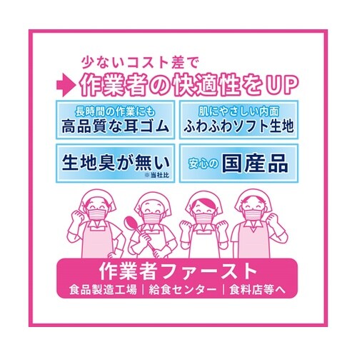 業務用2層マスク 100枚入 フリーサイ