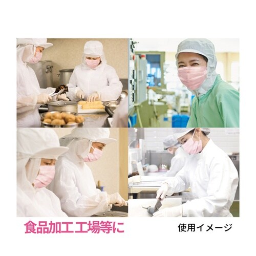業務用2層マスク 100枚入 フリーサイ