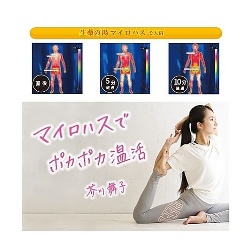 薬用入浴剤 生薬の湯 マイロハス(医薬部