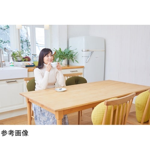 OUGI(クッション)こがね