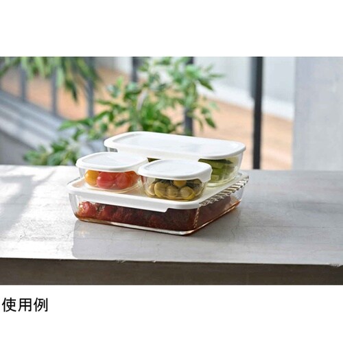 保存容器 250mL 900mL 2L