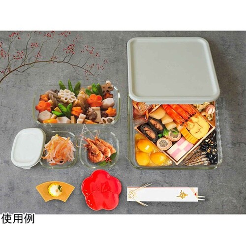 保存容器 250mL 900mL 2L