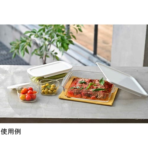 保存容器 250mL 900mL 2L