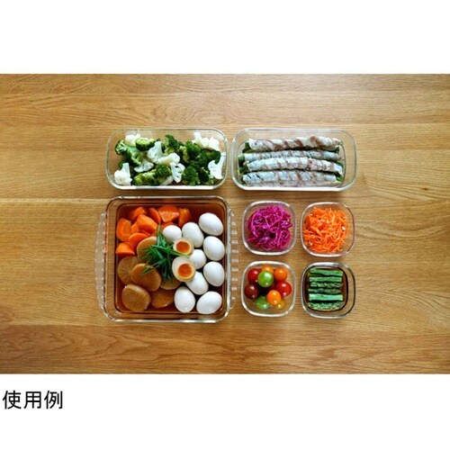 保存容器 250mL 900mL 2L