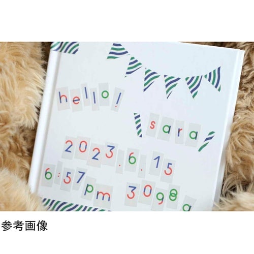 マスキングテープ mt PAPIER T