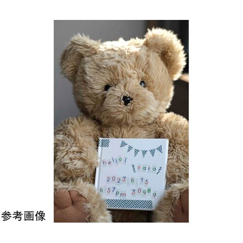 マスキングテープ mt PAPIER T