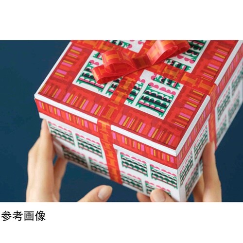 マスキングテープ mt OTTAIPNU