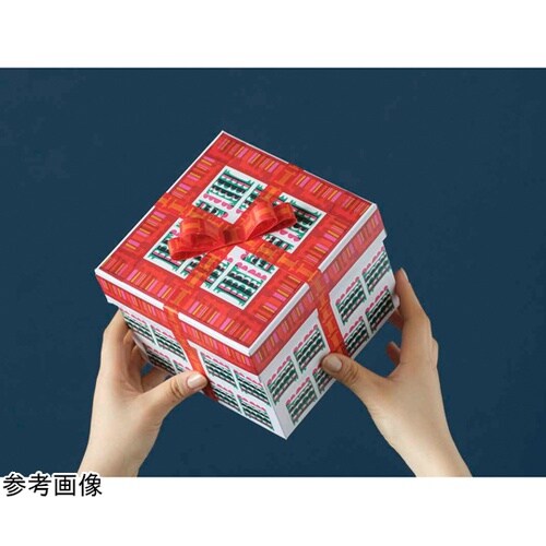 マスキングテープ mt OTTAIPNU