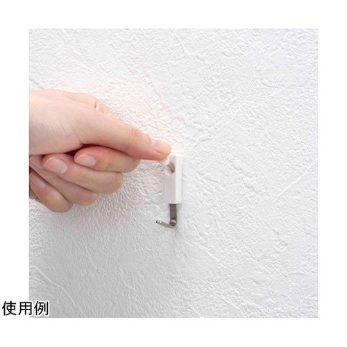 ダブルピンフック 3個入 耐荷重2kg