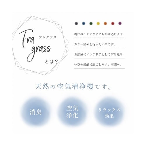 フレグラス 飾り 消臭剤 リビングイン