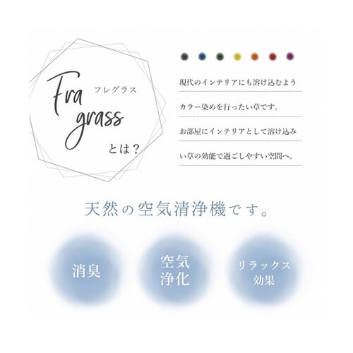 フレグラス 飾り 消臭剤 リビングイン