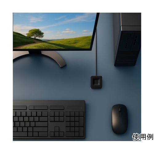 Windows10/11 Windows