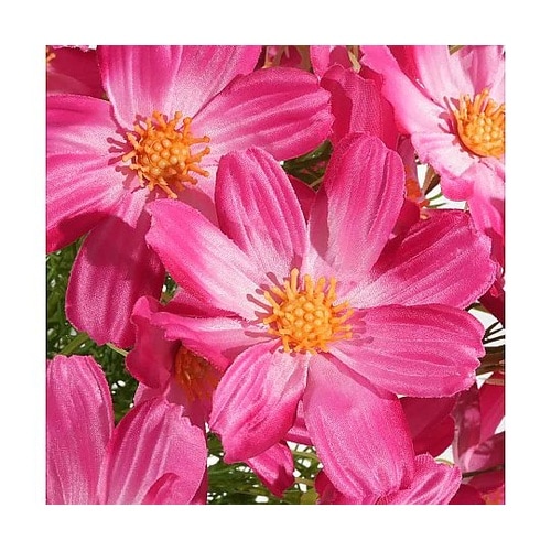 サテンコスモススプレー70cm(造花)ピ