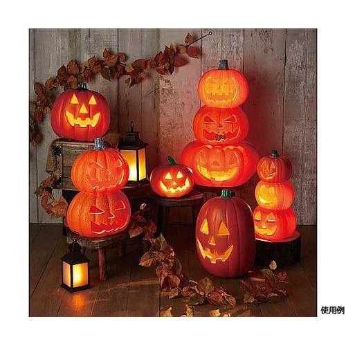 リーフガーランド オータムバーチ180c