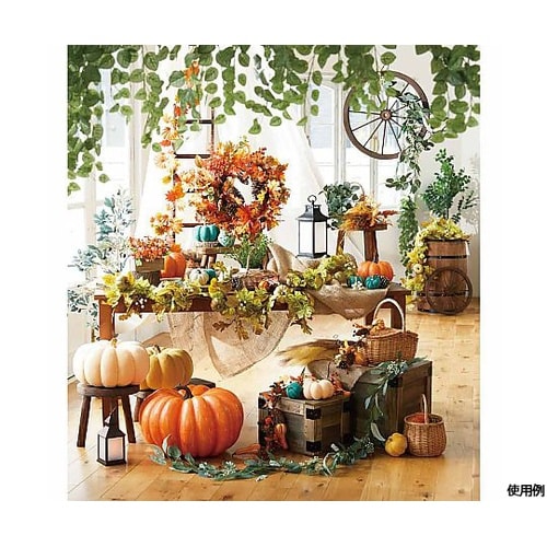 ビッグパンプキン 大 57−2−6−3