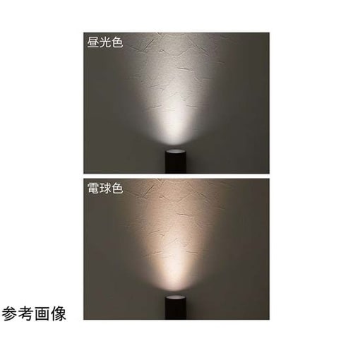 配線ダクト用LEDスポットライト(ダイク