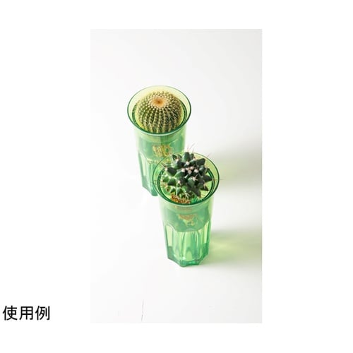 花瓶 グロウベース クリア グリーン