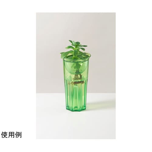 花瓶 グロウベース クリア グリーン