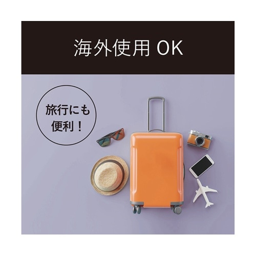 モバイルストレートアイロン ブラック K