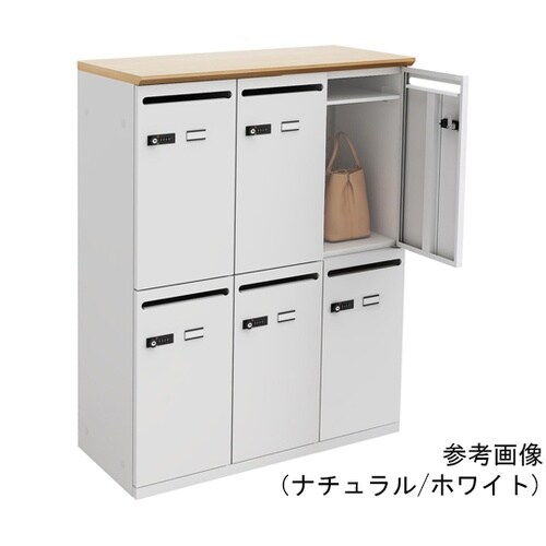 パーソナルロッカー6人用 ホワイト/ホワ