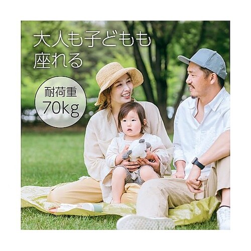 折りたたみ式 レジャーチェア 35558