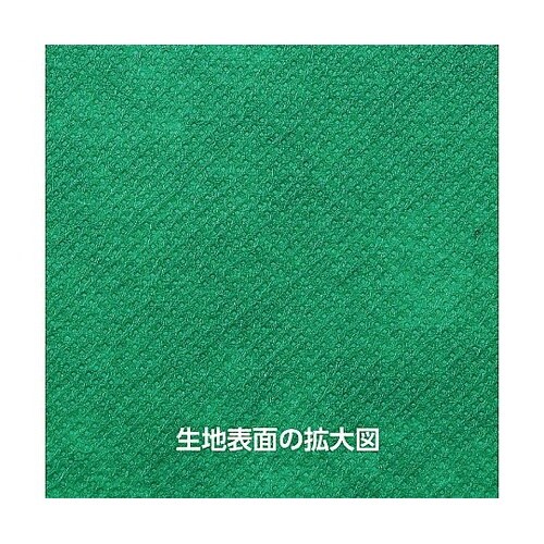 4967 カラー不織布 10m巻 緑