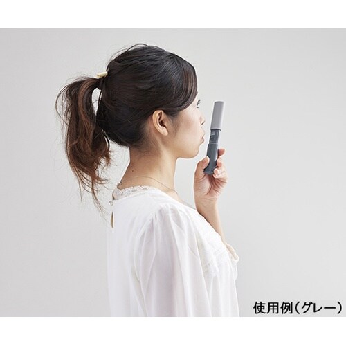 EB−100−GY ブレスチェッカー