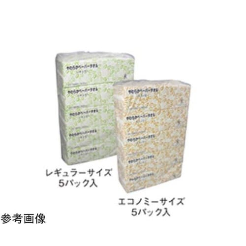 やわらかペーパータオル エコノミー 1ケ