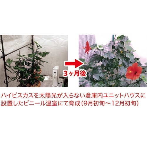 蛍光灯型植物育成ライト36W KY−36