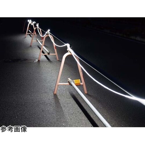 LEDロープライト 白 10m(電源付き