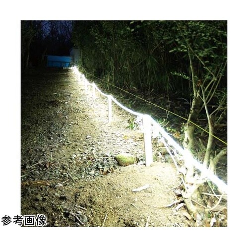 LEDロープライト 白 10m(電源付き