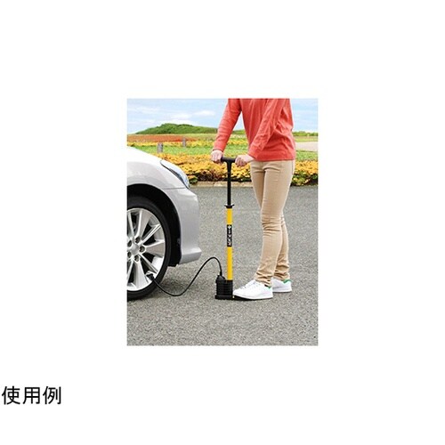 ポンピィ イエロー 1910