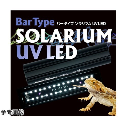 Bar Type SOLARIUM UV