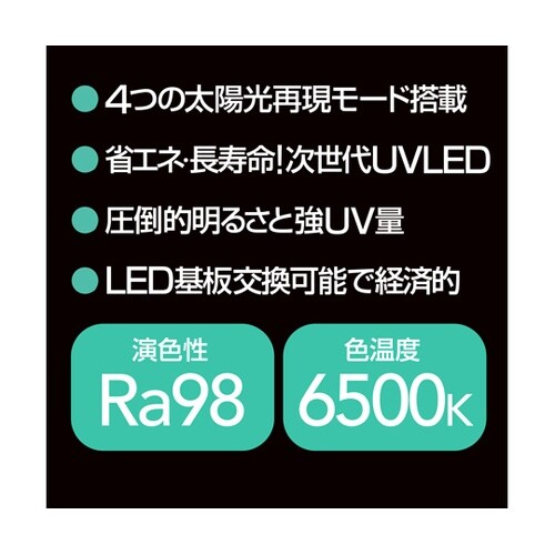 Bar Type SOLARIUM UV