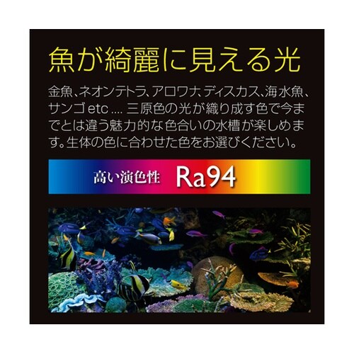 マルチカラー2 300