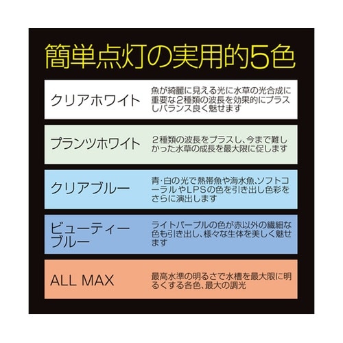 マルチカラー2 300