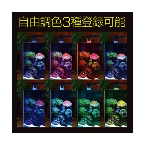 マルチカラー2 450