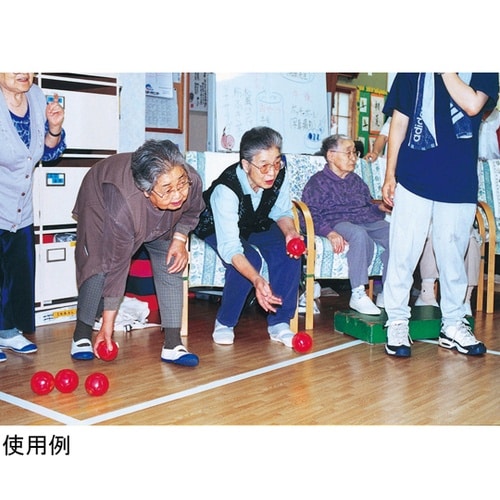 B3812 ボッチャボール