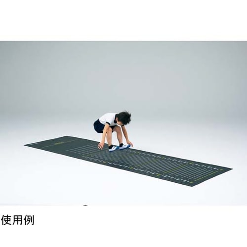 T1813 メジャーマット3M