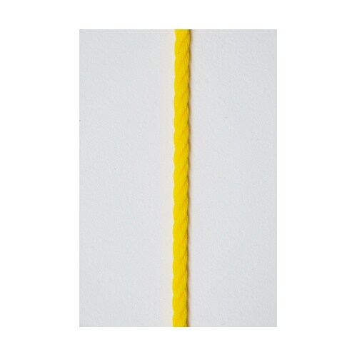 G1577グランドロープ6×300(4)